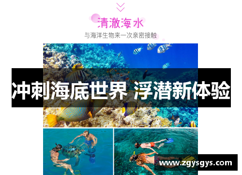冲刺海底世界 浮潜新体验